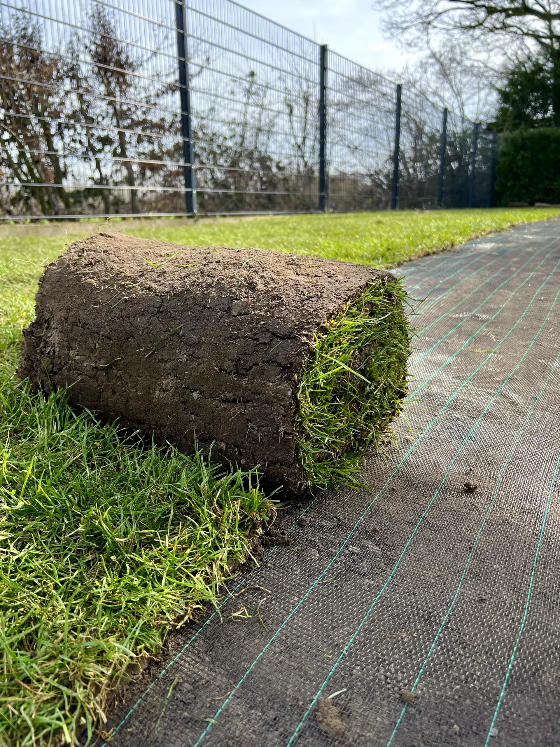 Heuermann Gartenbau Pflege Muenster Web 20