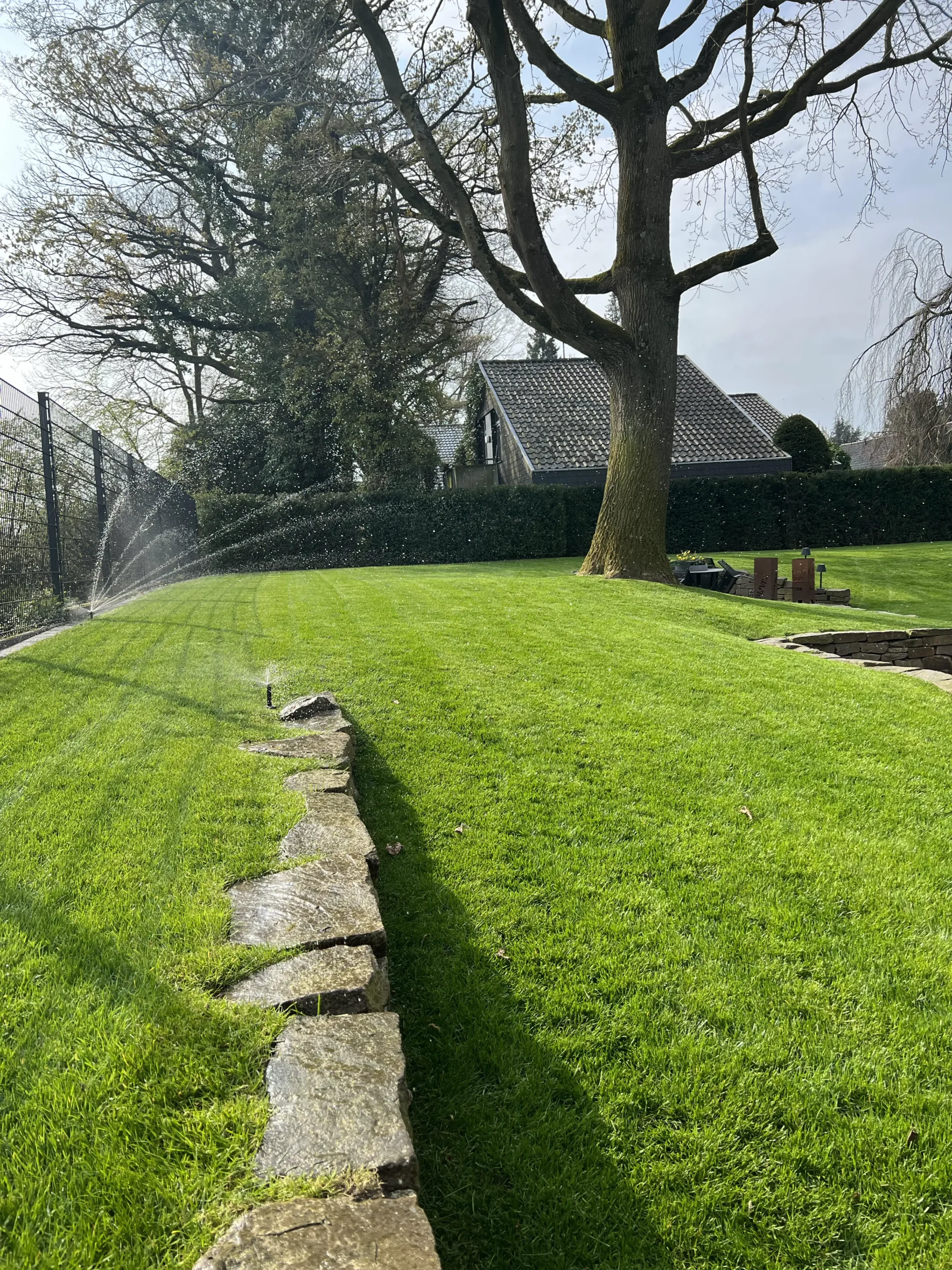 Heuermann Gartenbau Pflege Muenster Web 24