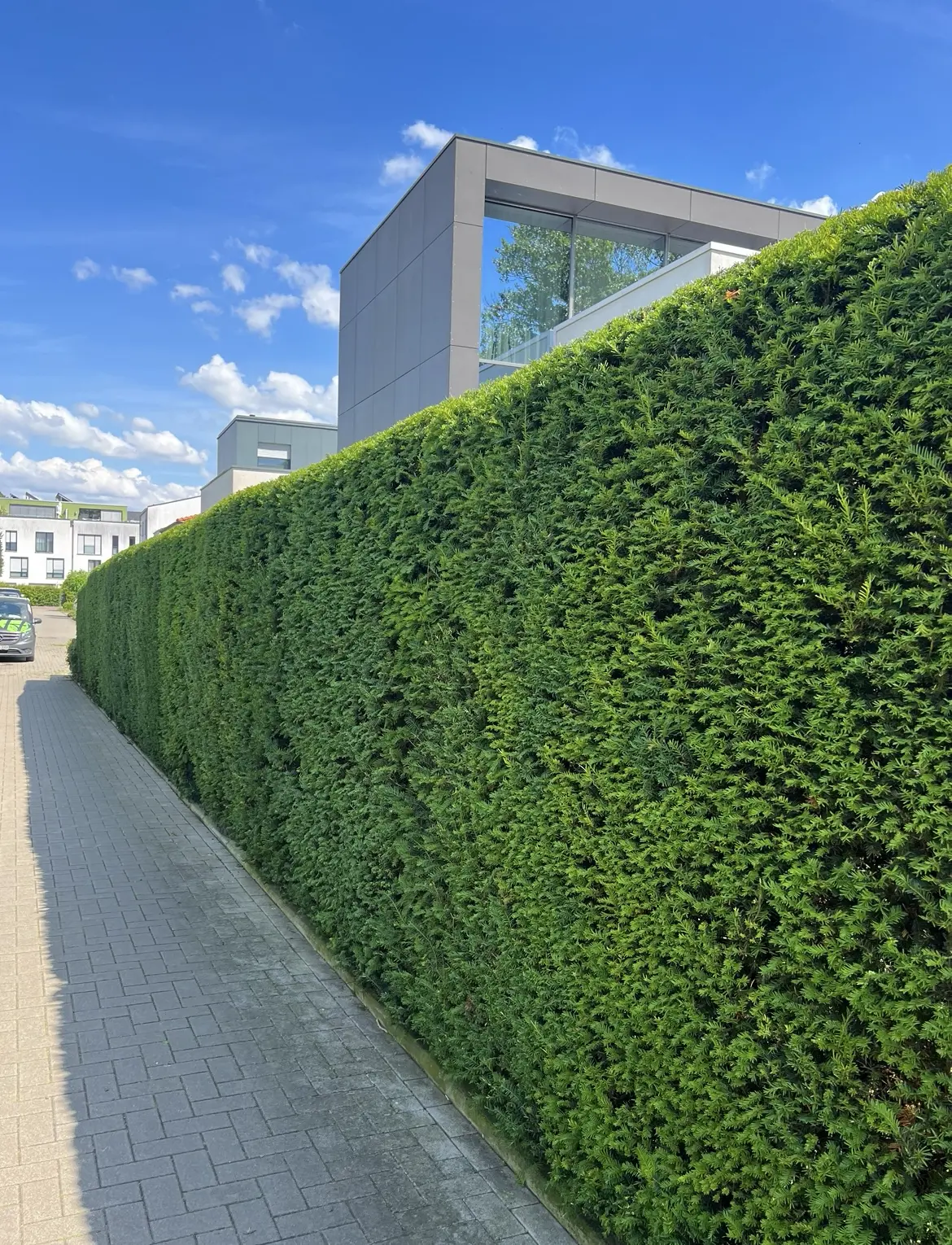 Heuermann Gartenbau Pflege Muenster Web 25