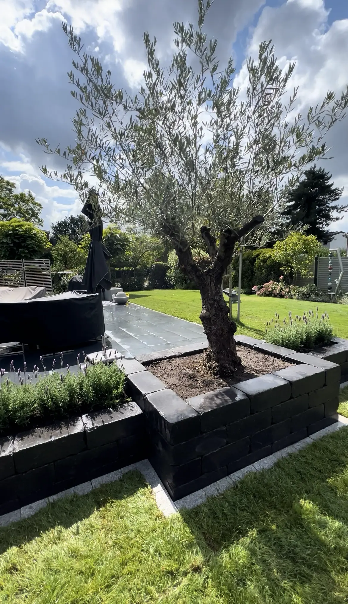 Heuermann Gartenbau Pflege Muenster Web 26