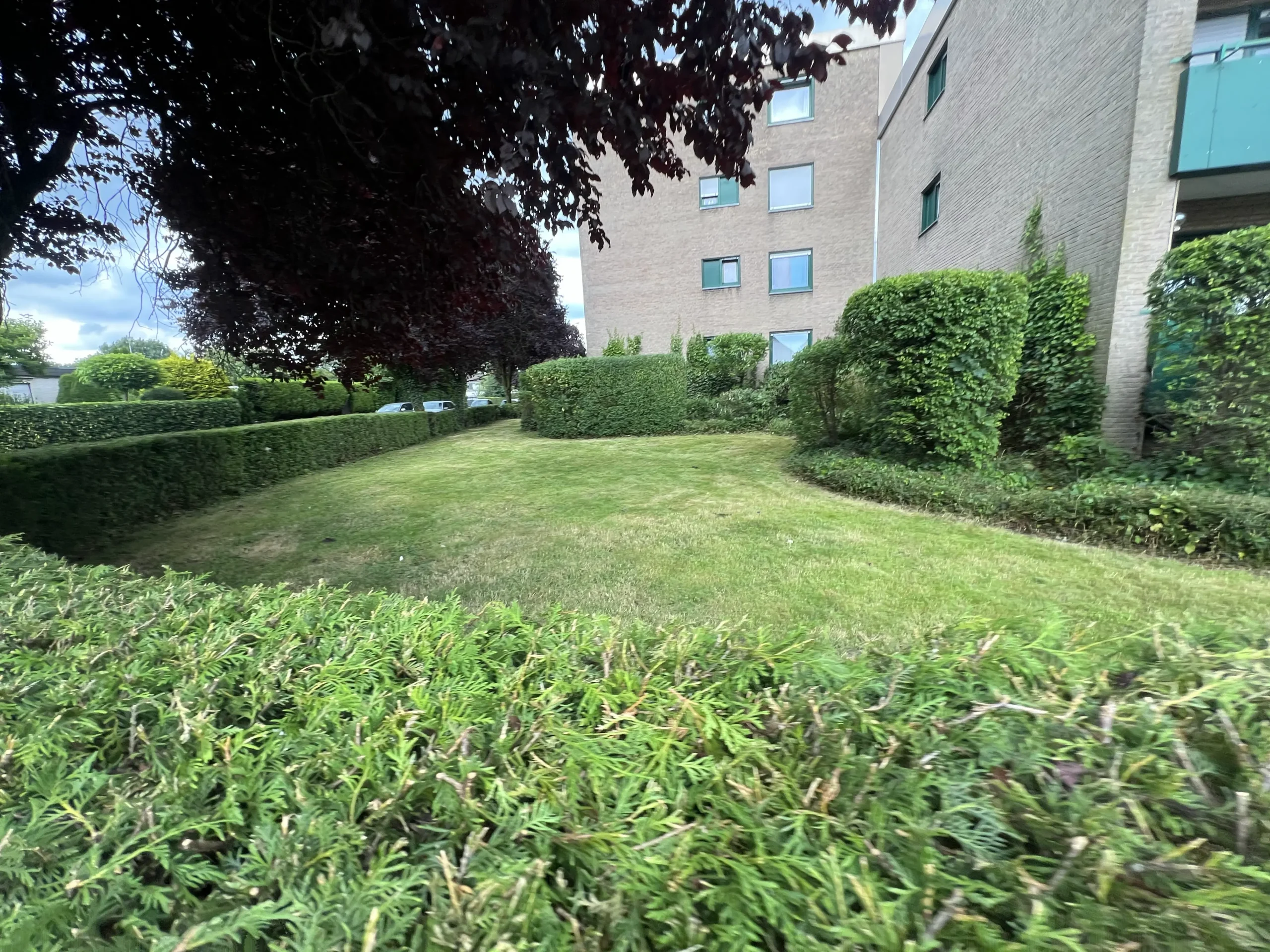 Heuermann Gartenbau Pflege Muenster Web 8