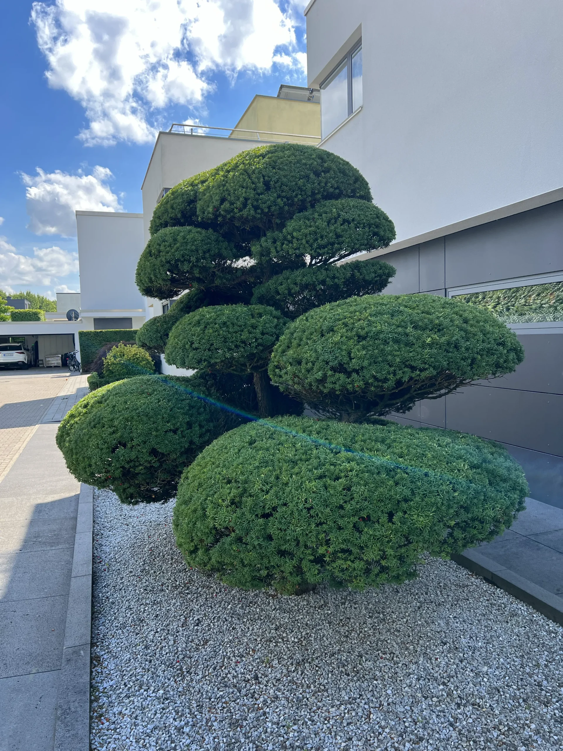 Heuermann Gartenbau Pflege Muenster Web 9